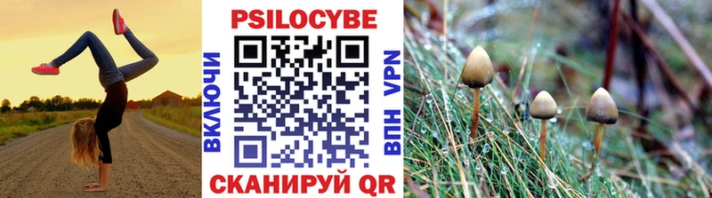 купить закладку  Данилов  мега зеркало  Галлюциногенные грибы Psilocybine cubensis 